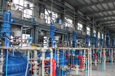 Shandong Ruifeng Chemical Co., Ltd.