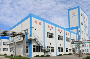 Shandong Ruifeng Chemical Co., Ltd.