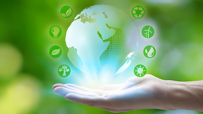Shandong Ruifeng Chemical Co., Ltd.