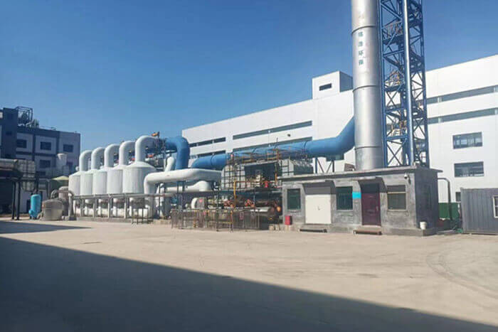 Shandong Ruifeng Chemical Co., Ltd.